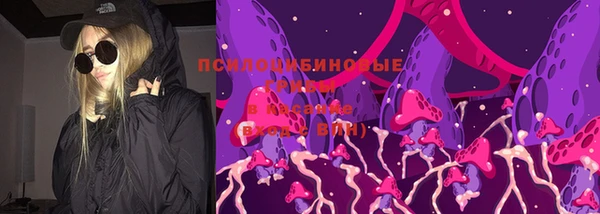 крисы Богданович