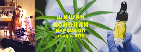 крисы Богданович