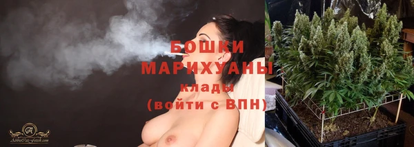 крисы Богданович