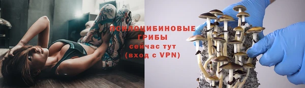 MDMA Premium VHQ Богородск