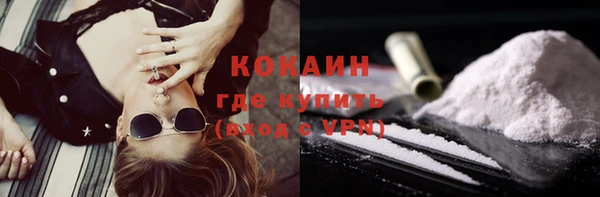 крисы Богданович