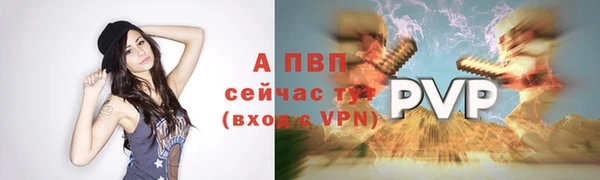 дживик Богородицк