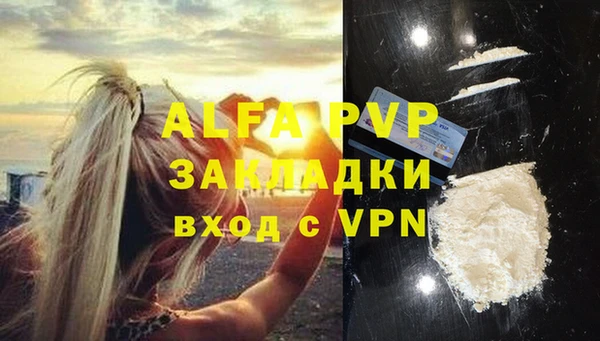 дживик Осташков