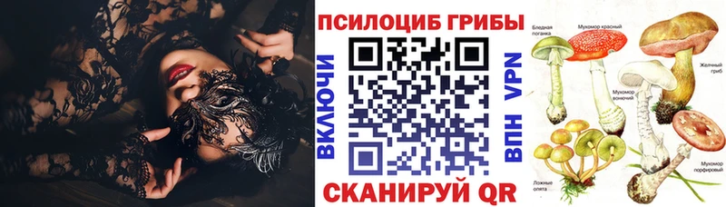 маркетплейс наркотические препараты  сколько стоит  Мыски  Галлюциногенные грибы прущие грибы 